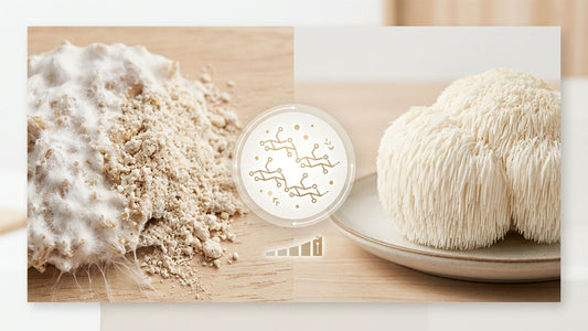 04 Fruiting Body vs. Mycelium: The Truth About Mushroom Supplements Most Brands Don't Talk About